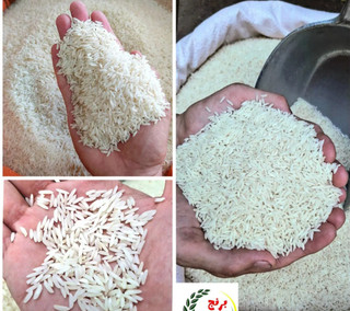 برنج طارم هاشمی کشت دوم (کیسه ۱۰ کیلویی)