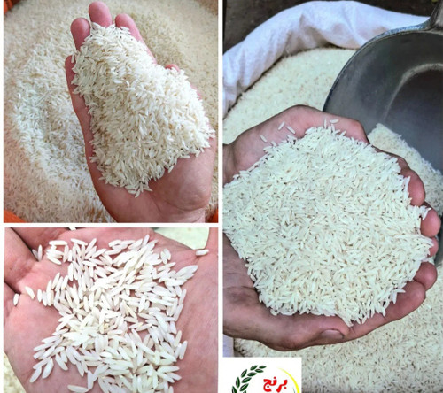 برنج طارم هاشمی کشت دوم (کیسه ۱۰ کیلویی)
