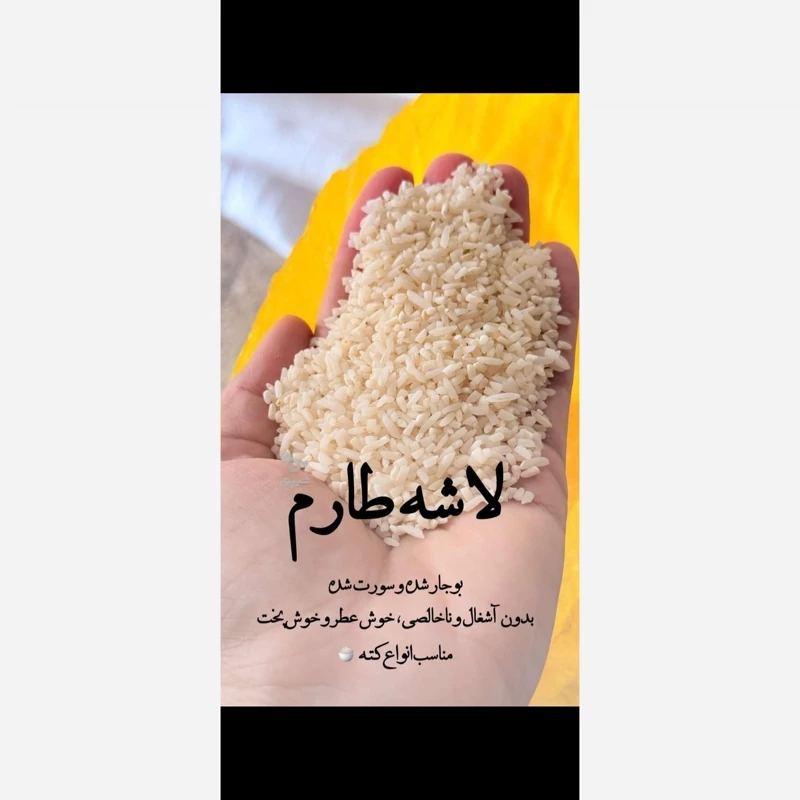 (10kg) لاشه برنج طارم هاشمی